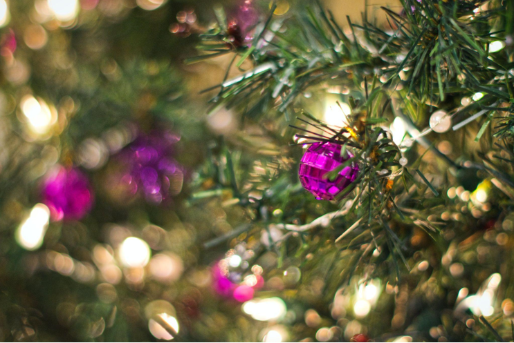 Decorating with Garland and Blue Christmas Trees